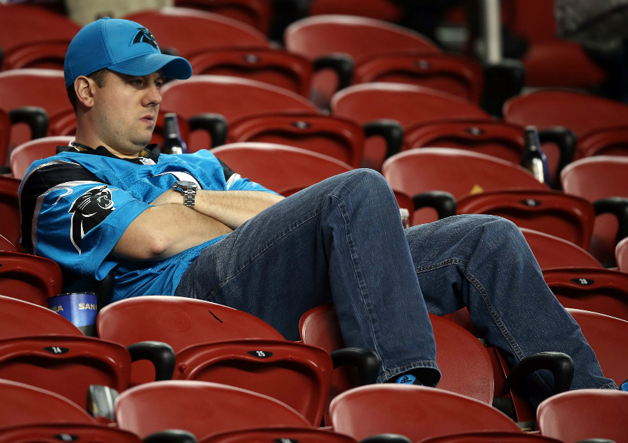How Big is the Carolina Panther’s Fanbase?